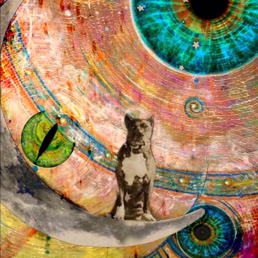 Paintings, Collage. Surreal subject prints